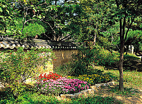花园,首尔,韩国