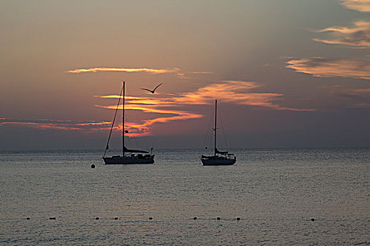 两个,帆船,海上,日落,岛屿,托斯卡纳,意大利,欧洲