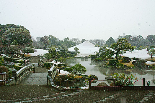 雪,秋天,花园,熊本,日本