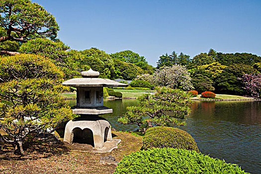 日本,新宿,花园,灯笼