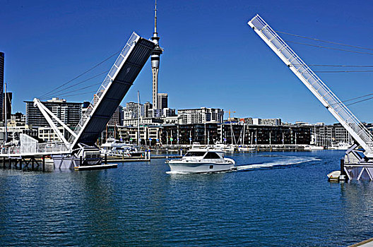 游艇,离开,港口,活动衍架,桥,高架桥,中心,奥克兰,新西兰