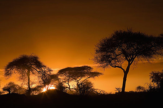 日落,非洲