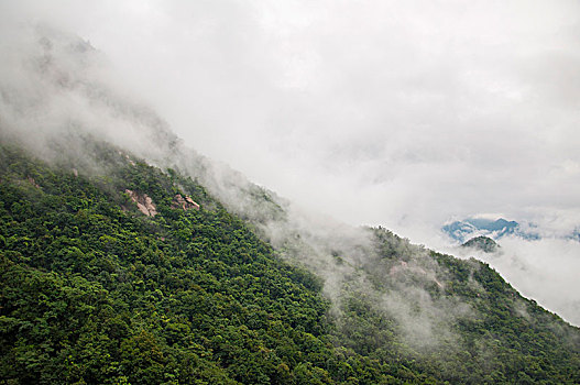 雾气弥漫的山峰