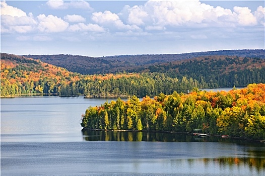 秋天,树林,湖
