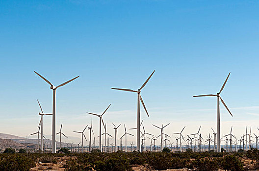 风电场,棕榈泉,加利福尼亚,美国