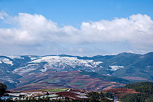 云南东川红土地雪原中的,乐谱凹,梯田