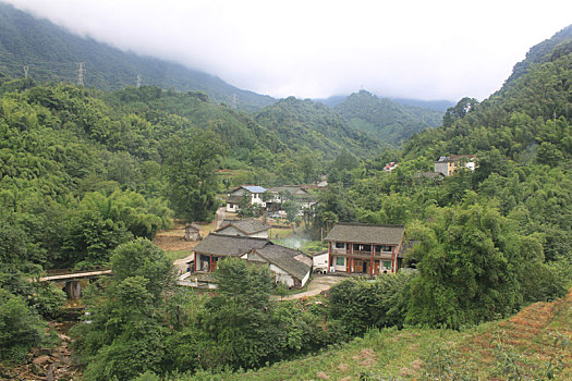 去芦山龙门古镇的路