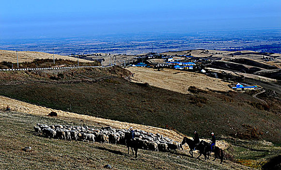 新疆奇台县将布拉克牧场