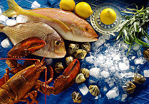 海鲜,静物,鱼肉,龙虾,贝类