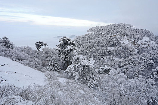 雪后华山宛如画