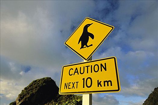 企鹅,穿过,标识,帕帕罗瓦国家公园,南岛,新西兰