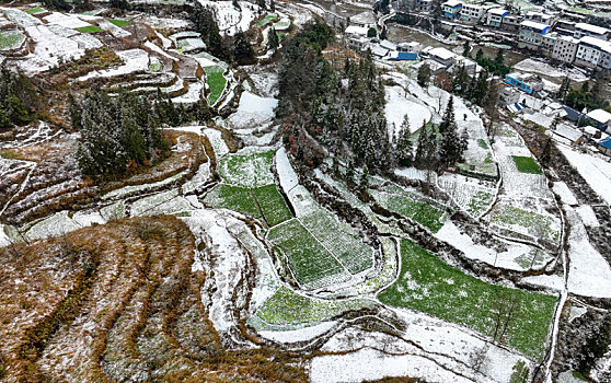 重庆酉阳,立春瑞雪兆丰年