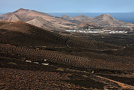 风景,蒙大拿,山脉,南,葡萄种植园,乡村,背影,火山,左边,右边,兰索罗特岛,加纳利群岛,西班牙,欧洲