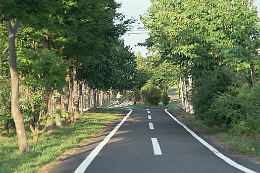 骑自行车,道路