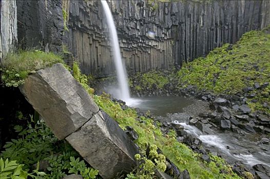 玄武岩,柱子,斯卡夫塔菲尔国家公园,冰岛