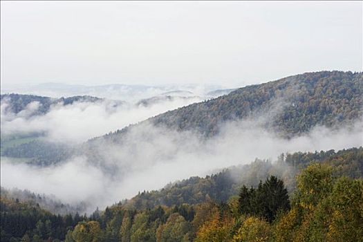 巴伐利亚森林,德国