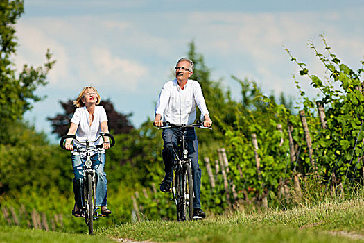 高兴,夫妻,老人,人,男人,女人,退休,骑自行车,夏天,自然