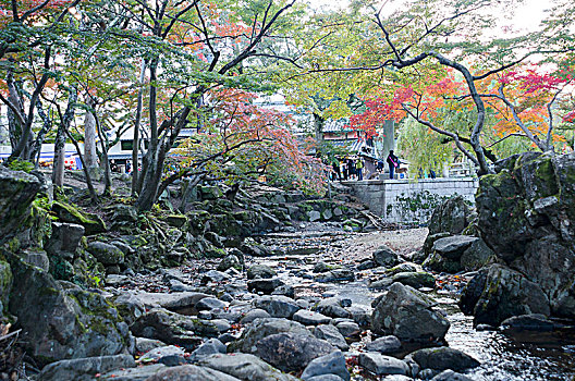 日本奈良公园秋景