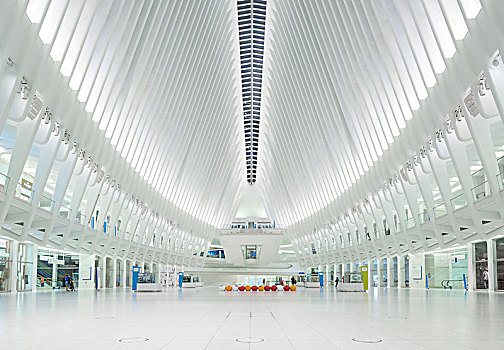 纽约世贸中心地铁交通枢纽