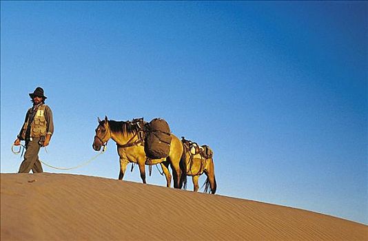 骑手,马,沙丘,沙漠,阿根廷,南美,动物