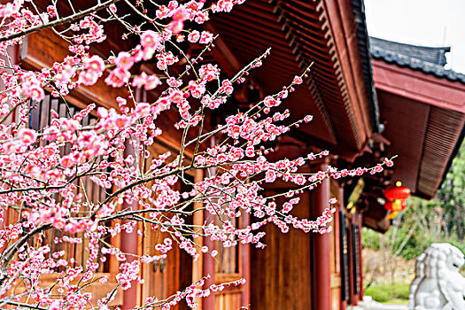 南京牛首山佛顶寺