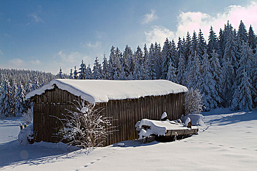 积雪,脱落,下奥地利州,奥地利,欧洲