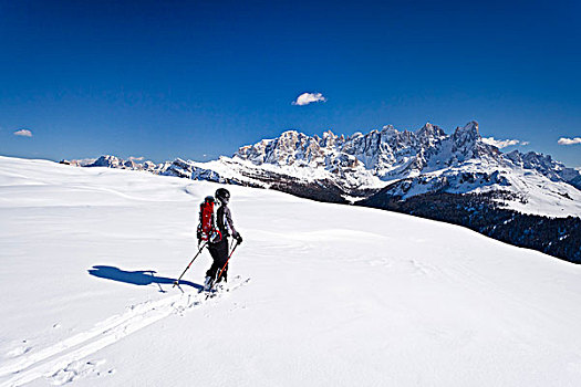滑雪,旅游,下降,山,西玛,高处,白云岩,后面,多,特兰迪诺,意大利,欧洲