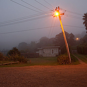 街道,亮光,晚间,怀希基岛,新西兰