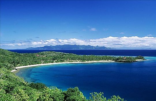 斐济,瓦卡亚岛,家园,湾,围绕,茂密,绿色植物