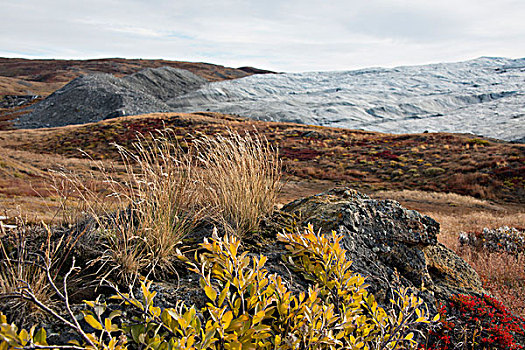 格陵兰,大,峡湾,彩色,秋天,冰碛,风景,冰河,远景,大幅,尺寸