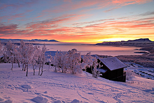 日出,雪景,市区,诺尔博滕县,拉普兰,瑞典