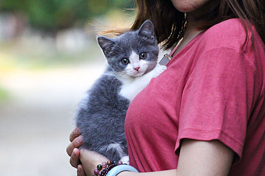 女人和猫