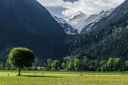 绿色,山谷,高山