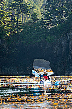 两个,漂流者,划船,海藻,树林,岩石构造,北方,西海岸,温哥华岛,不列颠哥伦比亚省,加拿大