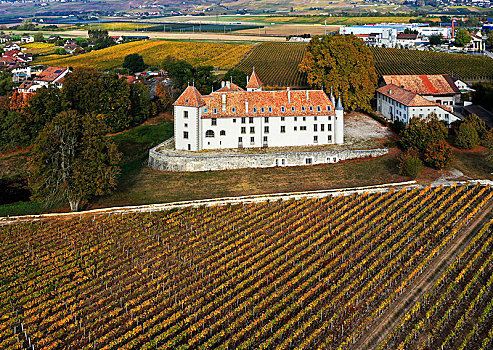 图像,乡村,城堡,围绕,葡萄园,沃州,瑞士,欧洲