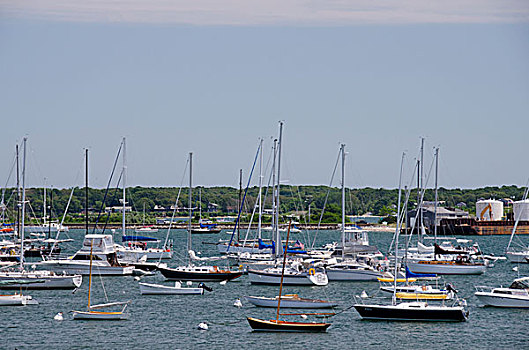马萨诸塞,玛莎葡萄园,码头,区域