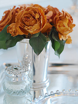 干燥,玫瑰,花瓶