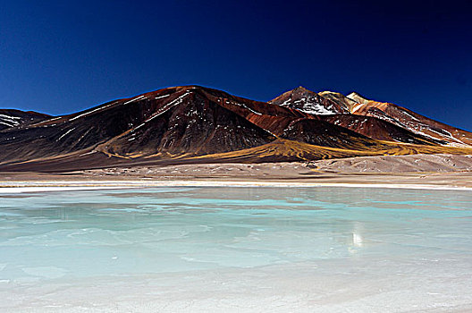 智利,泻湖,彩色,山,背影,湖