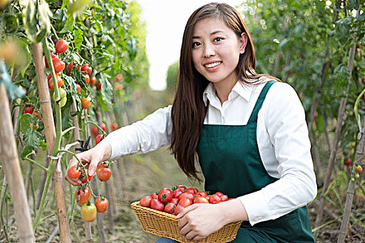 年轻,美女,中国人,女人,绿色,地点