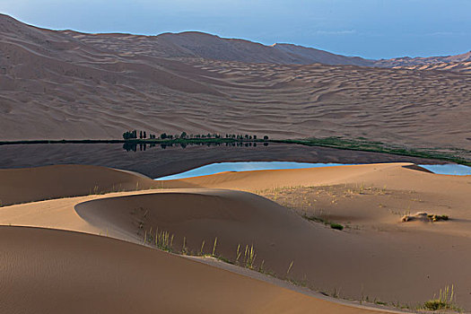 沙漠中的湖泊
