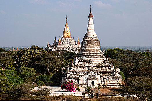 风景,塔,阿南达,庙宇,后面,蒲甘,曼德勒省,缅甸,亚洲