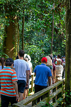 马来西亚婆罗洲沙巴山打根,动物保育园区的游客