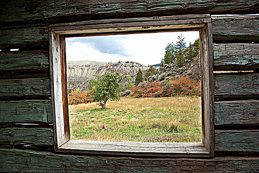 窗户,小屋,峡谷,靠近,溪流,卡里布,区域,不列颠哥伦比亚省,加拿大