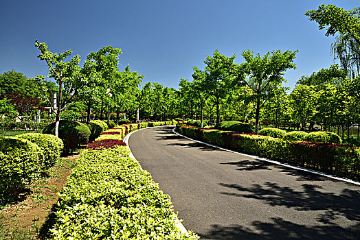 河北省石家庄市植物园