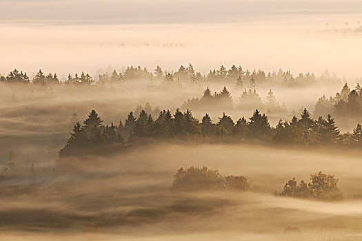 晨雾,坏,上巴伐利亚,巴伐利亚,德国