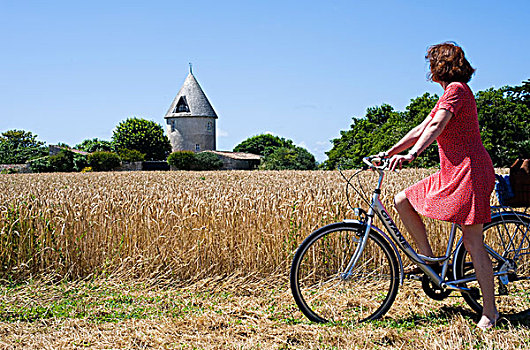 法国,海事的,雷岛,旅游,骑自行车,一个,许多,自行车,小路,岛屿,停止,看,老,修改的,风车,户外,乡村