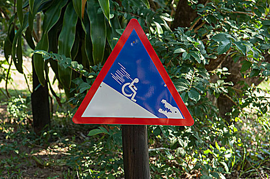 路标,警告,斜坡,轮椅,鳄鱼,南非,非洲
