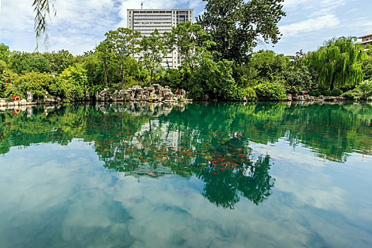 济南五龙潭泉池风光