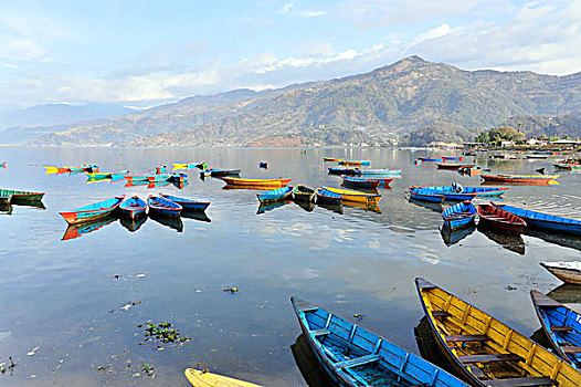 划艇,湖,波卡拉,尼泊尔,亚洲