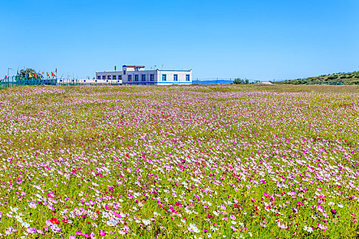 中国河北省张北草原天路秋天自然风光